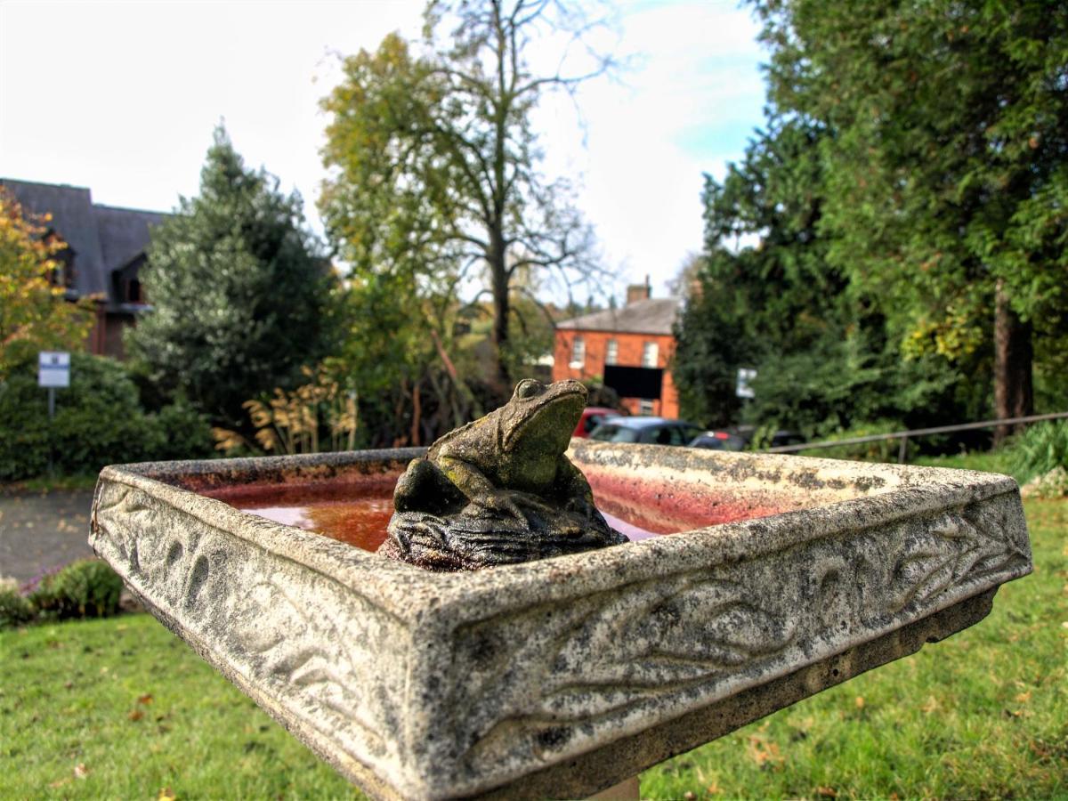Torrington Hall St Albans Buitenkant foto